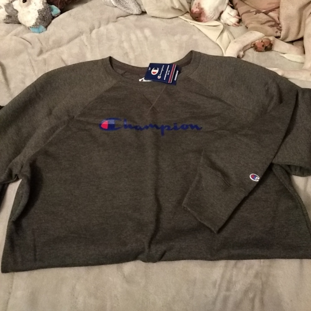 Champion sweatshirt